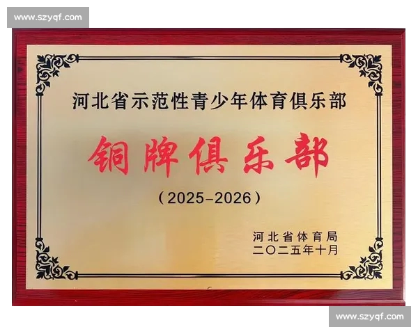 以体育俱乐部为核心推动社会体育发展与青少年健康成长的创新路径